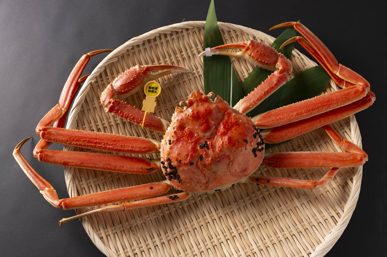 生け簀の甲羅 写真 1