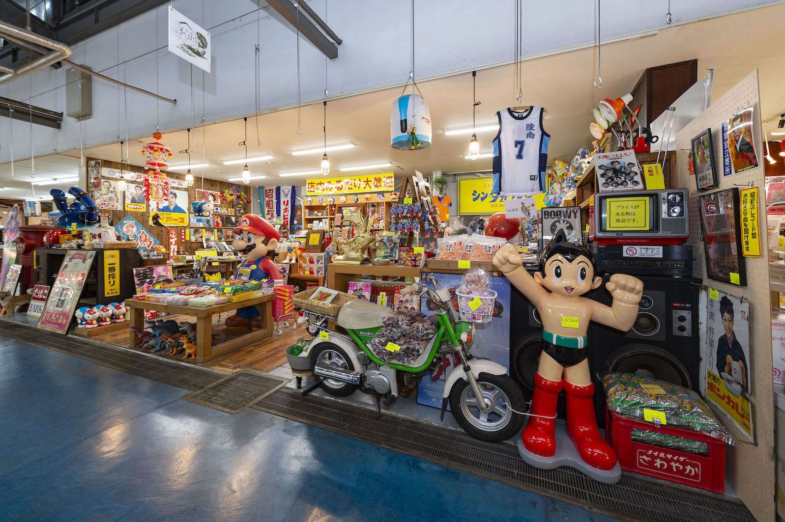 シン・タカラジマ 写真 4