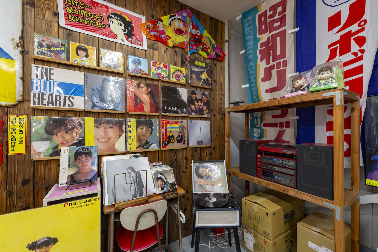 シン・タカラジマ 写真 2