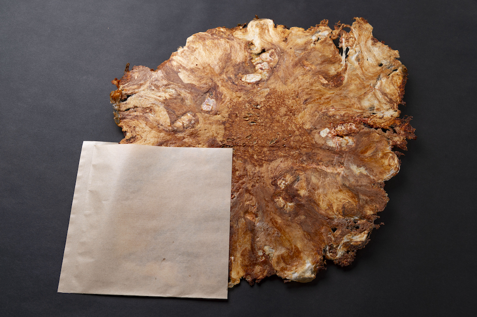 海鮮 海老せん太郎 写真 1